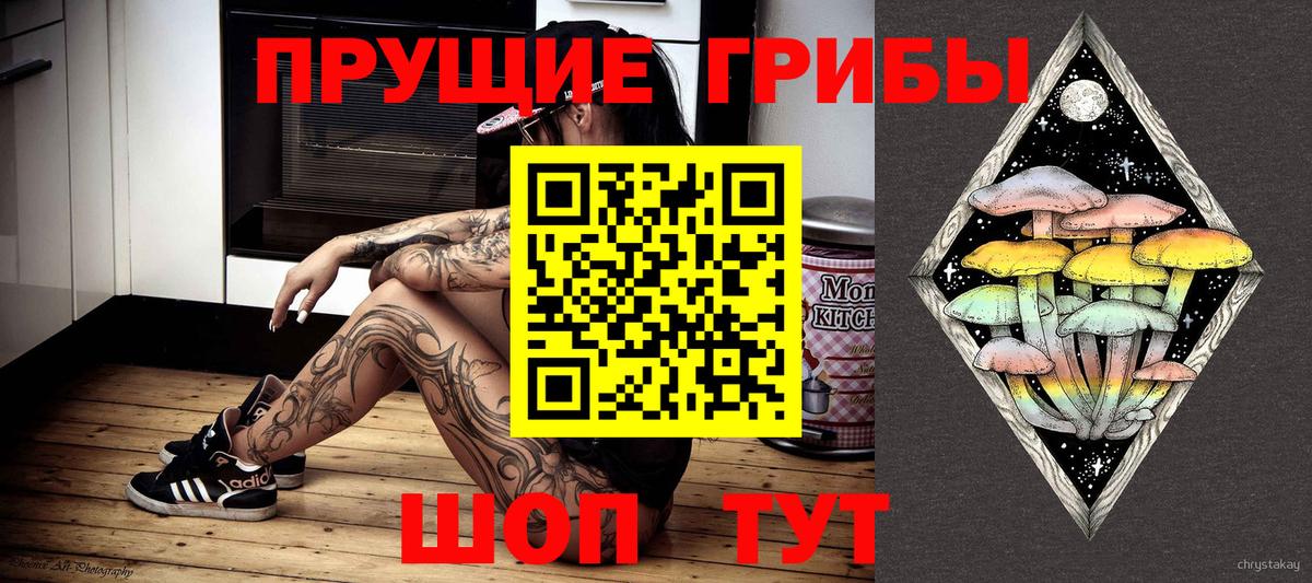 Галлюциногенные грибы MAGIC MUSHROOMS  Вход с VPN  Кисловодск 
